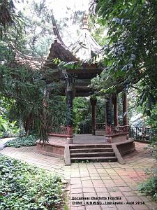 144- Charlotte - Kunming 